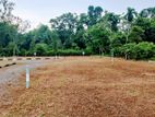 Land for Sale - 15 Minutes to Bandaragama Town