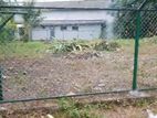 Land for Sale - 15 Perches in Nawala (A2835)