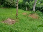 Land for Sale .16.5 Parch Ganemulla