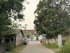 Land for Sale- 2nd Block from Colombo–kandy Main Road Nittambuwa