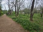 Land for Sale 300 Perches Homagama