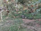 Land for Sale (3901) Polgasowita Kesbewa