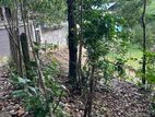 Land for sale (3958) Kandy