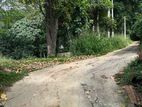 Land for Sale (3969) Kandy