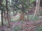 Land for sale (3979)Kandy