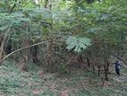 Land for Sale (3987 A) Kandy