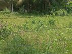 Land for sale 400m to galle rd