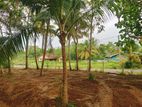 Land for Sale 50 Meters from The Tangalle-Hambantota Main Bus Route
