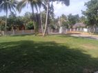 Land for Sale 500m to Colombo Horana Bus Route