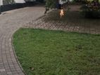 Land for Sale 77 Perches in Colombo 7