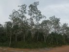 Land for Sale 8acres 107perch Gelanigama