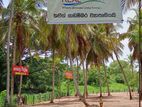 Land for Sale Abagaswewa