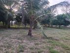 Land for Sale - Jaffna