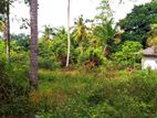 Land for Sale - Ahangama