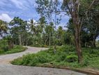 Land for sale Ahangama