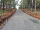 Land for sale Ahangama