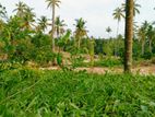 Land for Sale Ahangama