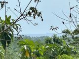 Land for Sale Ahangama ,Galle Slight Sea View