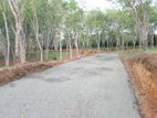 Land for Sale Ahangama Panchaliya