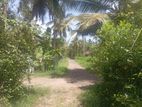 Land for Sale Akkarapanaha Negombo Gampaha