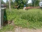Land For Sale Akkarapanaha Negombo Gampaha