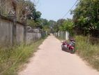 Land For Sale Akkarapanaha Negombo Gampaha