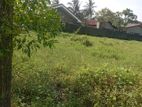 Land For Sale Akkarapanaha Negombo Gampaha