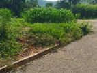 Land for Sale Alauwa