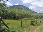 Land for Sale Alutgama