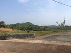 Land for Sale අලුත්ගම