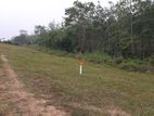 Land for Sale Aluthgama