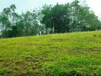 Land for Sale Aluthgama