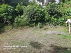 Land For Sale - Aluthgama