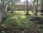 Land for Sale Aluthgama
