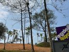 Land for Sale Aluthgama