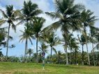 Land For Sale Aluthgama