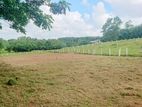 Land for sale Aluthgama