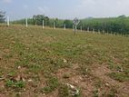Land for Sale Aluthgama