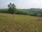 Land for Sale - Aluthgama