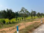 Land For Sale Aluthgama Kalavila