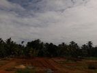 Land for Sale අලව්ව