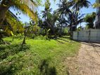 Land For Sale Alwis Avenue Dehiwala - 3844