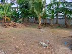 Land For Sale Alwis Avenue Dehiwala - 3844U