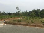 Land for Sale Ambalangoda