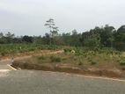 Land for Sale Ambalangoda