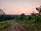 Land for Sale - Ambalangoda