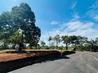 Land for Sale Ambathale