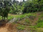 Land for Sale Ambathanna