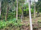 LAND FOR SALE AMBATHANNA