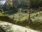 Land for Sale Ambathanna